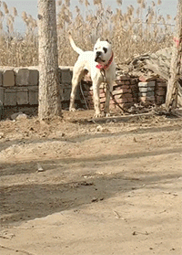df3f7368b7d6da1192bd604e8f7d5a30.gif