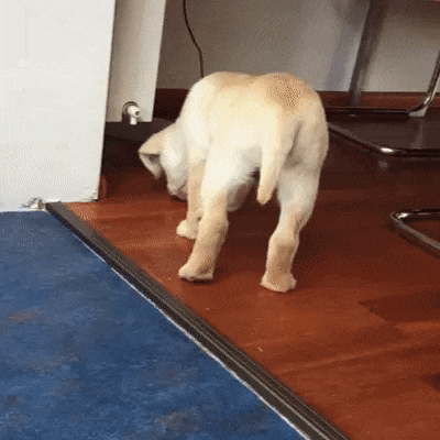 582071ca5be90007e2e9157a41f02e26.gif