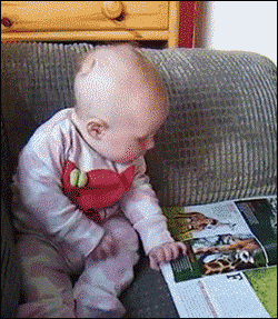 30c43c6b10ad94aaddd90004d645602d.gif