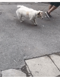 t01b6a4bd79e29bf633.gif