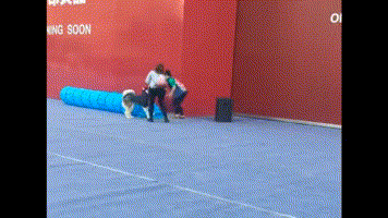 9743745ce9aa49d3d7b11619daa4f68c.gif