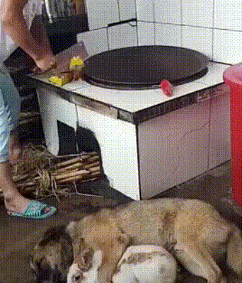 3df6959d4ffc87d7c874e4ee0bbad5c5.gif