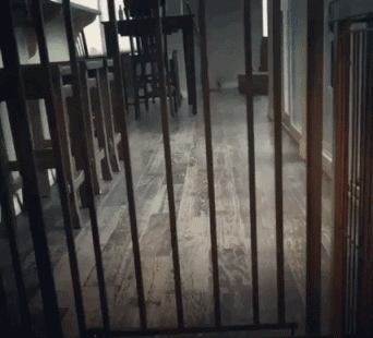85b239644f5fbd54b0f5f68e114d96cd.gif