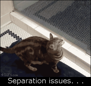 4d55ee4febfc5726f818fed870368641.gif