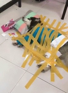 t018e1a5c58f4c5c241.jpg