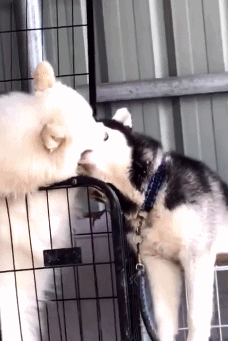 a08e25585a406b08d290b550b23f4b56.gif