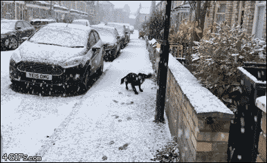 729e5b82e8c440baafe42fcb505ec6e3.gif