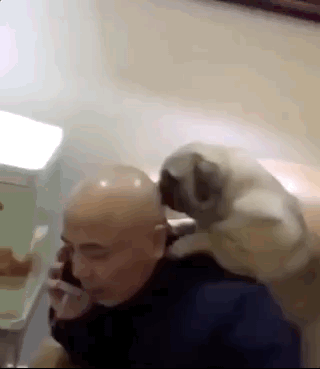 81a9a74025570ef24a1f7c171cd46aff.gif
