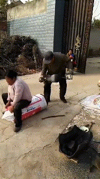 ef9cd4944ac5ffa610a103aee6539b2e.gif