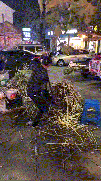 c8c9426f3e20647733d86ae54e4f17af.gif