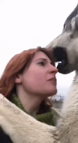 b6757a9d1c3399c7b75d4f5a483c17fd.gif