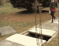 t0120804f74f467abe4.gif