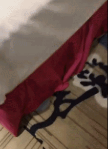 1c63abd4c3a2243c514c8e896f406c9b.gif