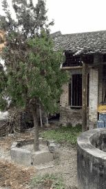 t01db54b0519af4f19a.gif