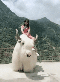 t015ad5105d1a8b06bd.gif