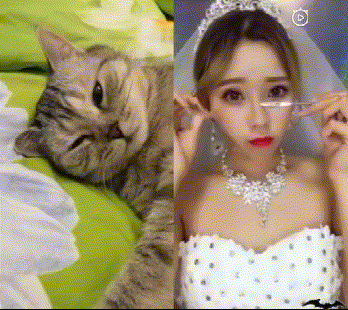 bd45853d56f4010348d8a36a759a3c02.gif