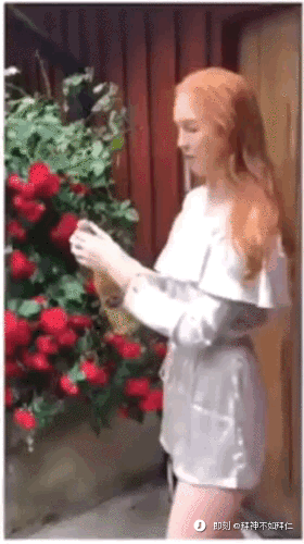 d28591ff6117e76c35249ab2aff92aa5.gif