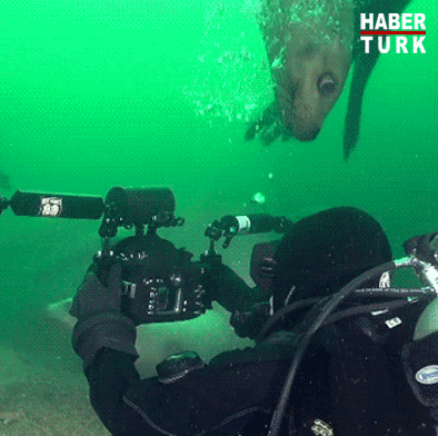 0dc113430262d14c5d4b04e7417b5033.gif