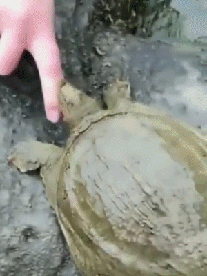 0614609060868cf9ce47d88cbf0c9ad0.gif