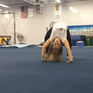 a3a9fcdedd5a35050fc6ddbb14ec0c08.gif