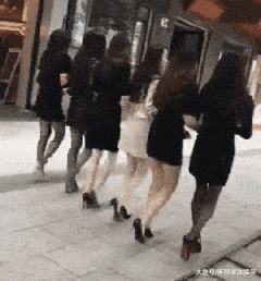 t010627728bb05a023a.gif