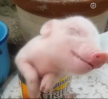 e01ae695535c7d7a2965d644cdaff17b.gif
