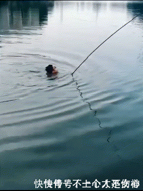 t01b4448ced93f25bcc.gif