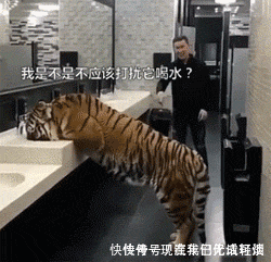 t0152ab53d9083b94c9.gif