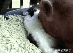t0132d8e7d8401baf70.gif