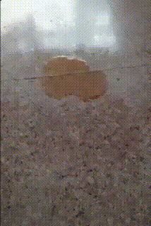 7e92547f8eddb32a3f3a90491da23021.gif
