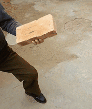 t0116fc24db47c8a38a.gif