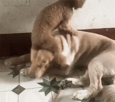 VL8V-fymrcmm9770592.gif