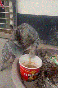 664267a36997aeef34152c6c22467ae7.gif