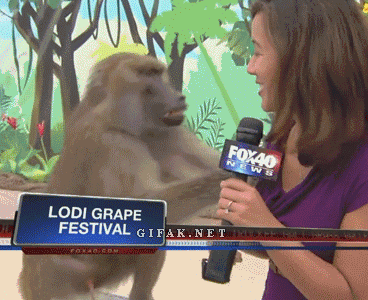 114d89b0b64ec868a0ed82bc92a452ef.gif
