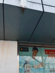 t011e1bfd16006f5e61.gif