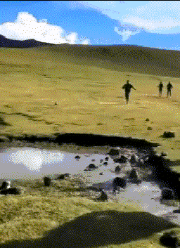 t01da2fd012aaa5f036.gif