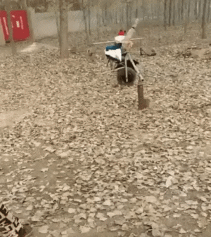 04adbfbda3a61e9d319b6654f79d17a6.gif