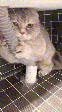 234db4625006abe5068f10df9c68092c.gif