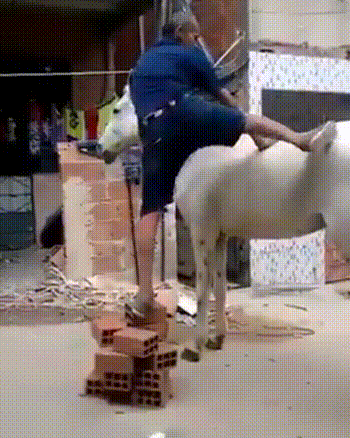 3a3038e240d10951ada14b60341d22ba.gif