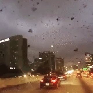 t0196747a7f39792704.gif