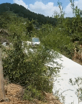 t0167ab2a70c9b54ba3.gif