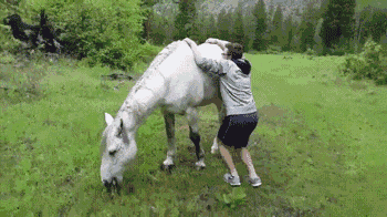 0547f83a7c537d4fd7e75ba17b8a0641.gif