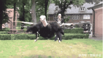 t01e5d2602757910acd.gif