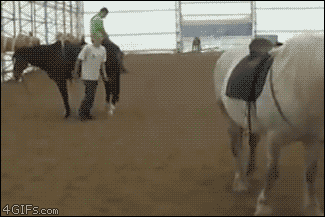 146721145313496577.GIF