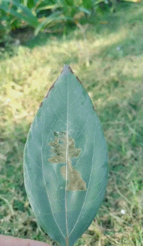 9a347c4128c0caa77d73f158fb1f6453.gif
