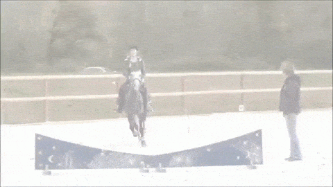 t01dd67f120053c46c5.gif