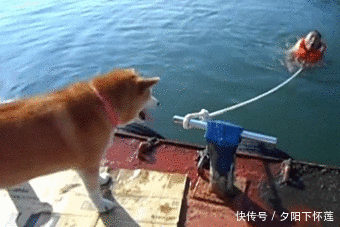 t01c44b64542e33119f.gif