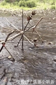t01177ba36fcc89bee7.gif
