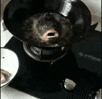 t01d3c9084fd6219975.gif