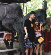 t01fa71bf971a879923.gif